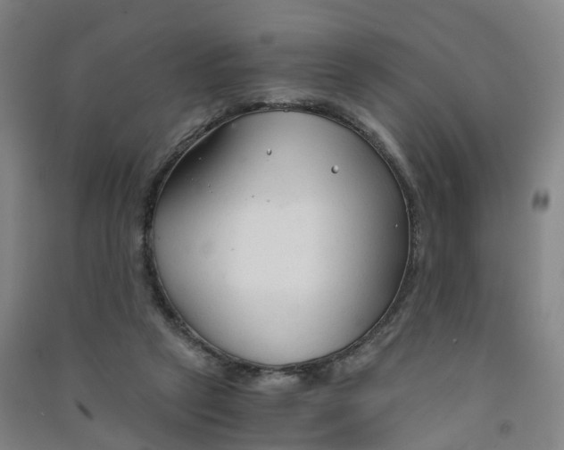 X0000090920257200708201812