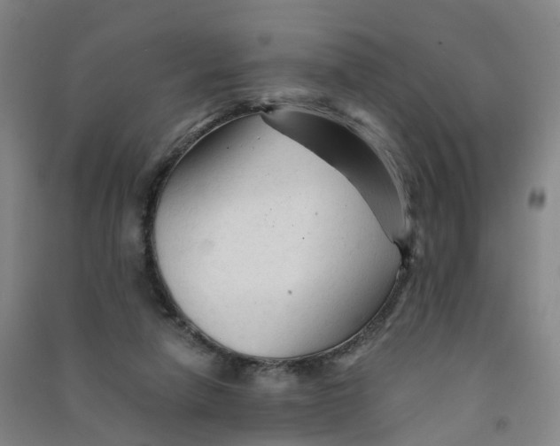 X0000090920258200708201812