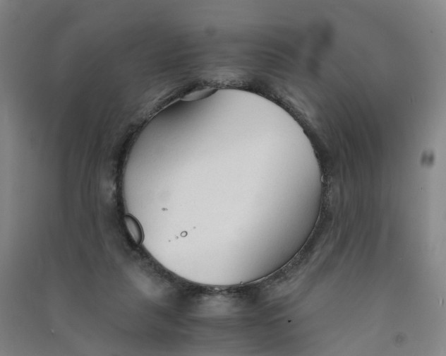 X0000090920259200708201812