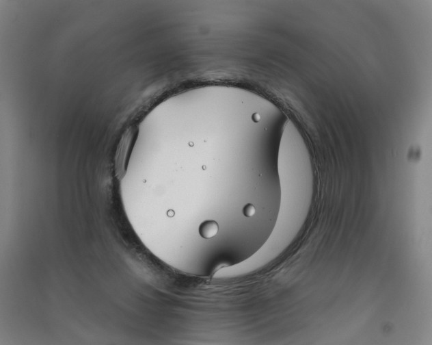 X0000090920260200708201812