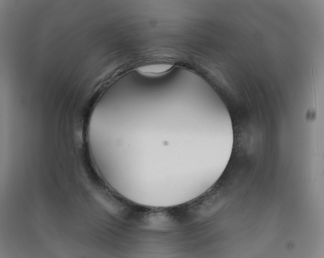 X0000090920262200708201812