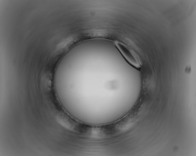 X0000090920264200708201812