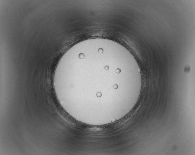 X0000090920265200708201812