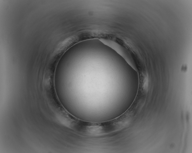 X0000090920266200708201812