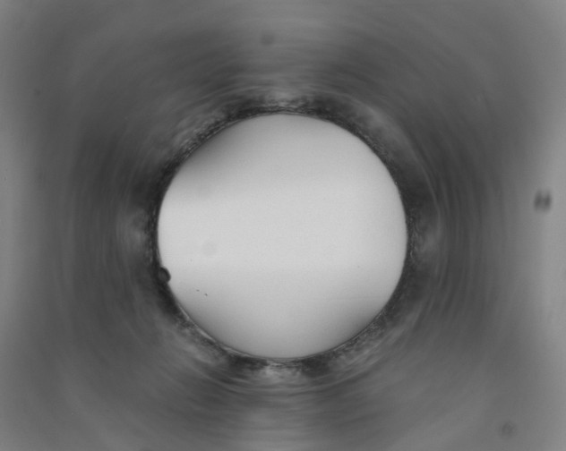 X0000090920270200708201812