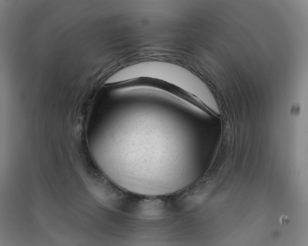 X0000090920271200708201813