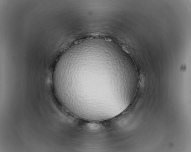 X0000090920272200708201813