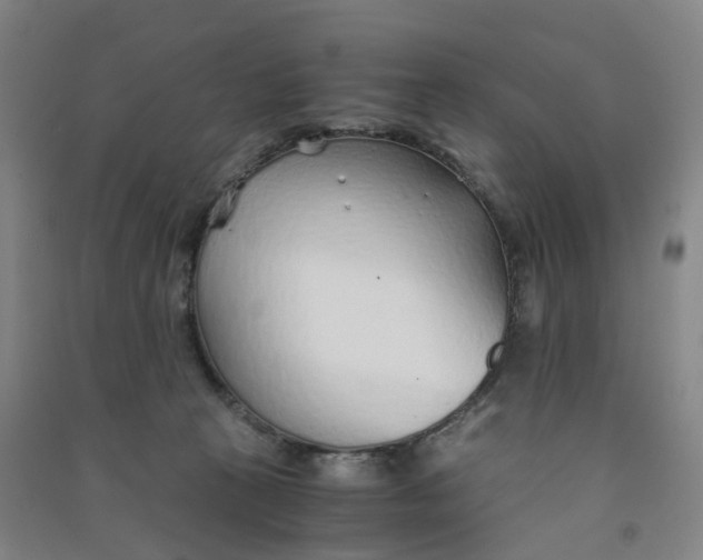 X0000090920273200708201813