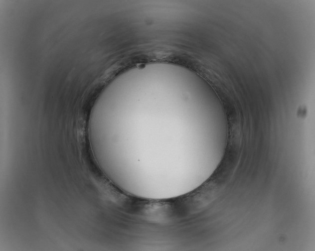 X0000090920274200708201813