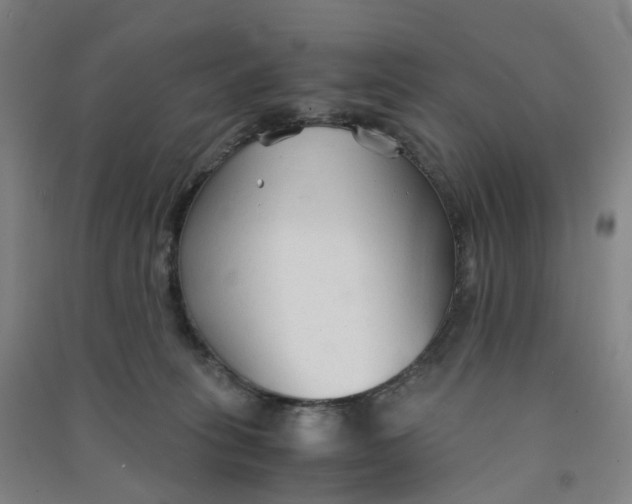 X0000090920275200708201813