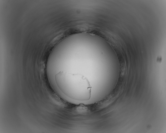 X0000090920279200708201813