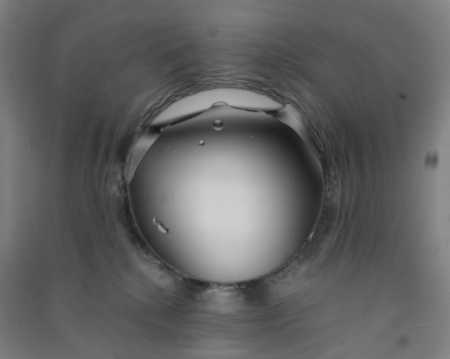 X0000090920280200708201813