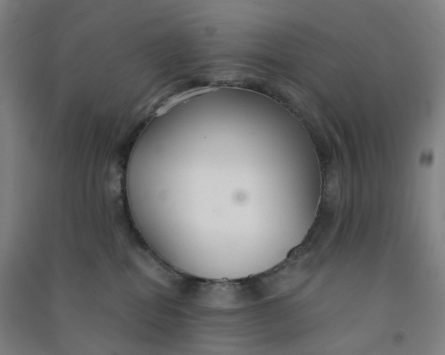 X0000090920282200708201813