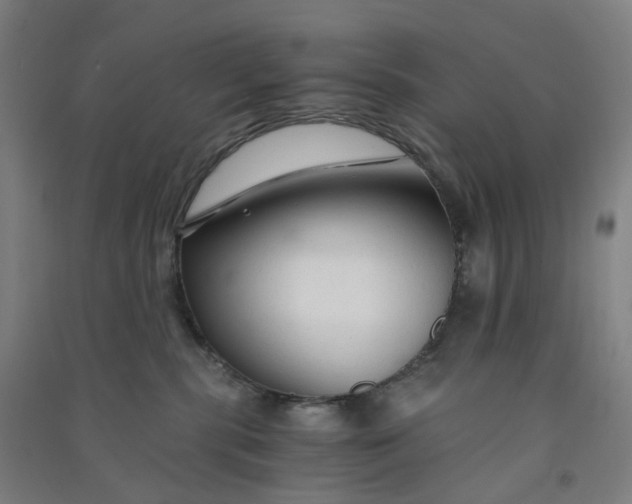 X0000090920283200708201813