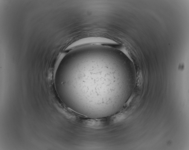 X0000090920284200708201813