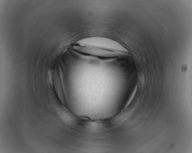 X0000090920286200708201813