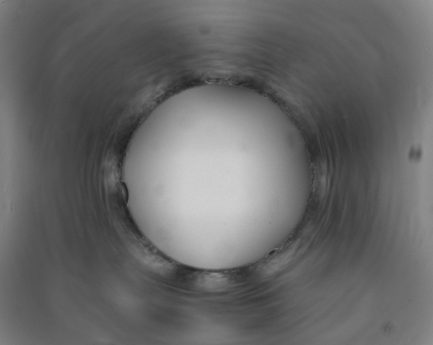 X0000090920287200708201813