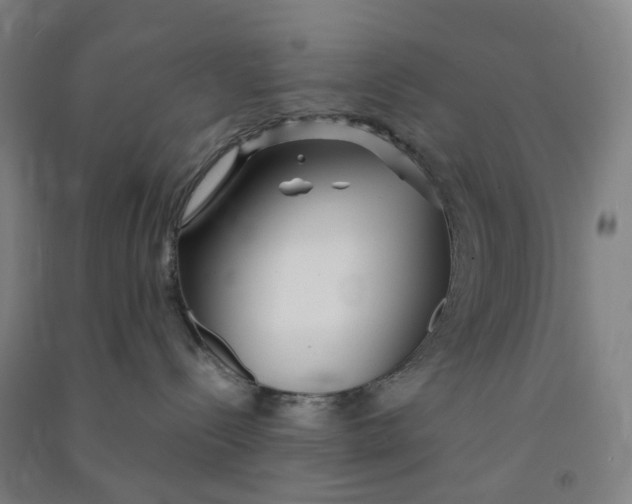 X0000090920288200708201813