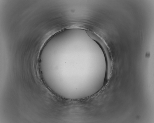 X0000090920289200708201812