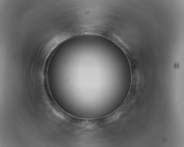 X0000090920290200708201812