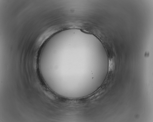 X0000090920291200708201812