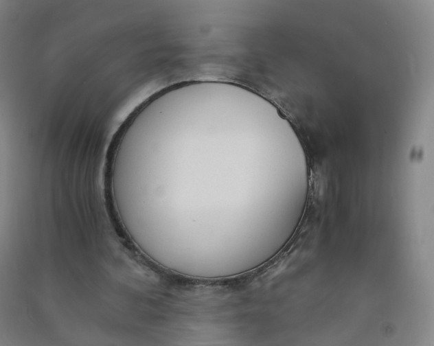 X0000090920292200708201812