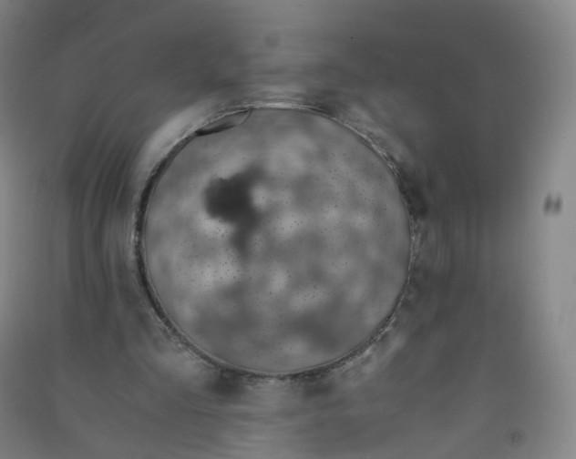 X0000090920293200708201812