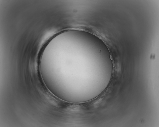 X0000090920294200708201812