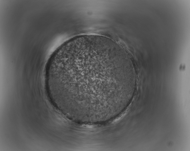 X0000090920295200708201812