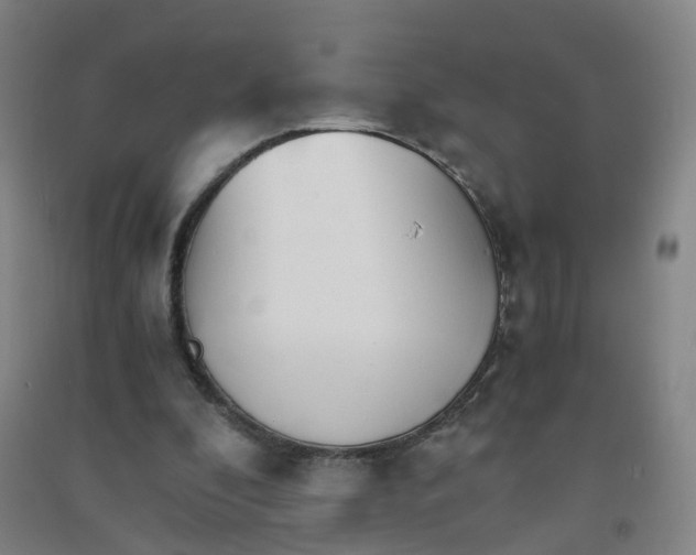 X0000090920296200708201812