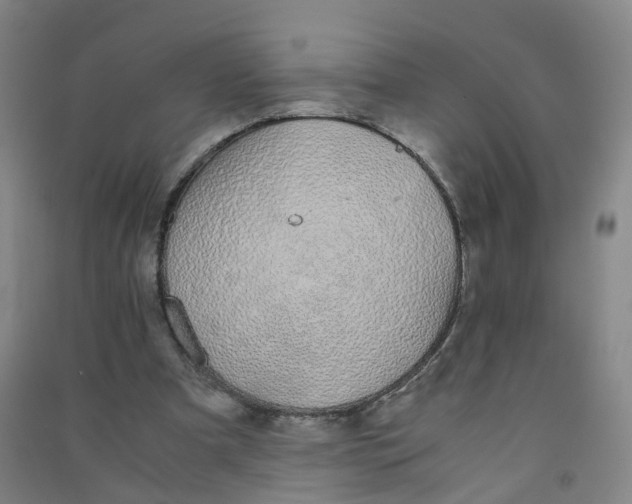 X0000090920297200708201812