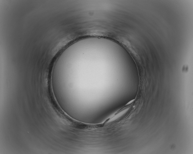 X0000090920299200708201812