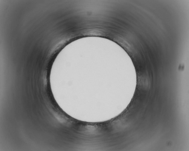 X0000090920302200708201812