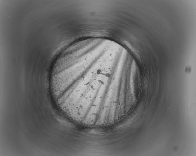 X0000090920303200708201812