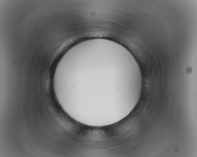 X0000090920304200708201812