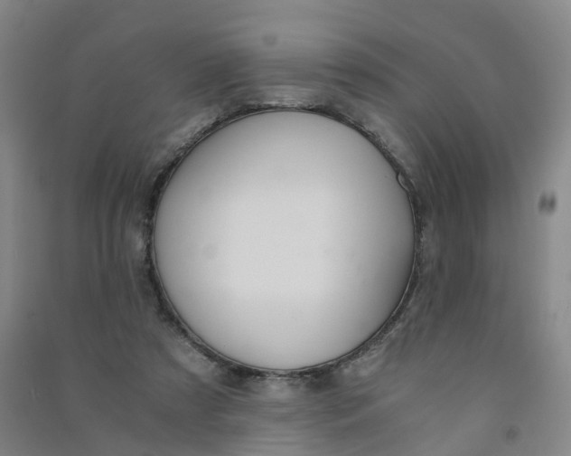 X0000090920305200708201812