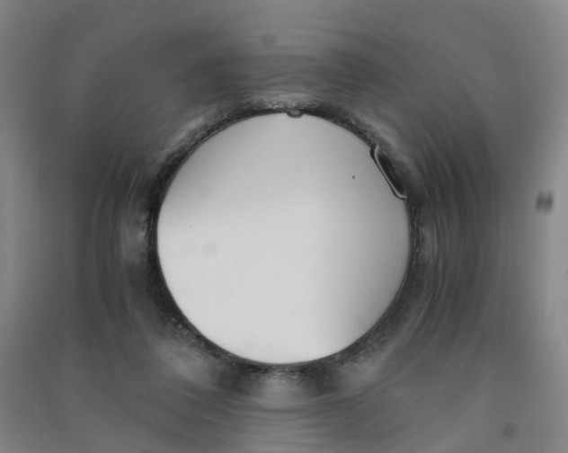 X0000090920308200708201812