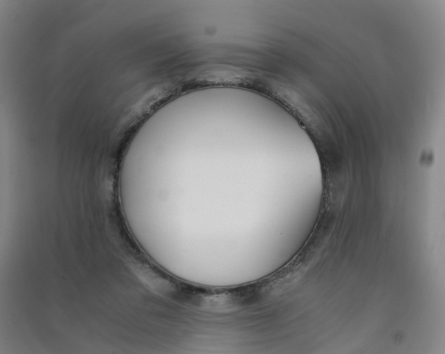 X0000090920309200708201812