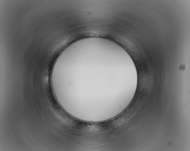 X0000090920310200708201812