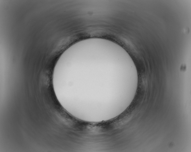 X0000090920311200708201812