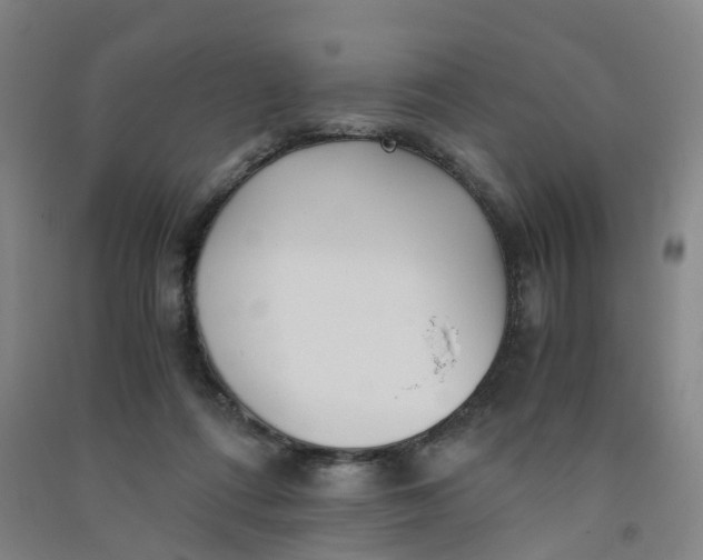 X0000090920312200708201812