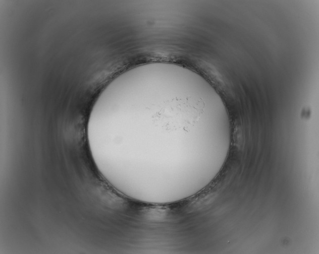 X0000090920318200708201812