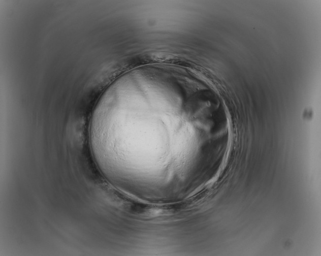 X0000090920319200708201812