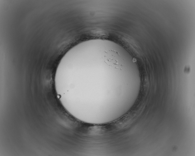 X0000090920320200708201812