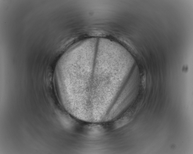 X0000090920322200708201812