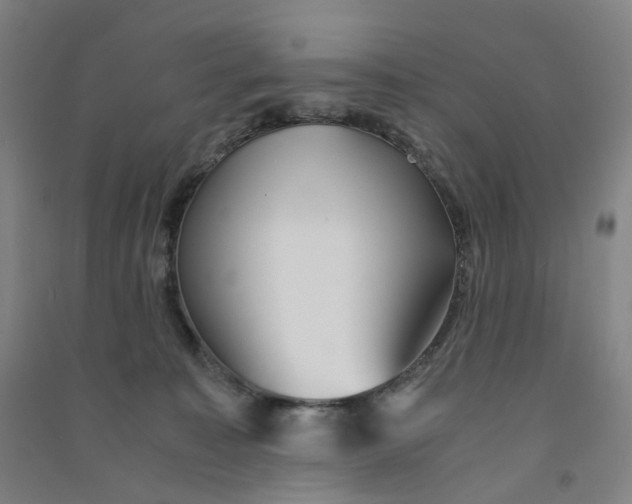 X0000090920323200708201812