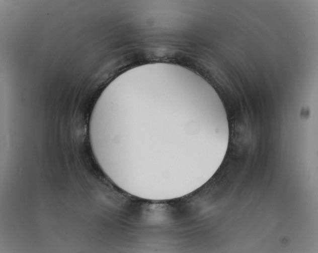 X0000090920324200708201812