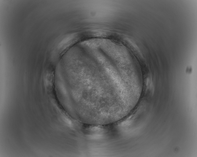 X0000090920325200708201812