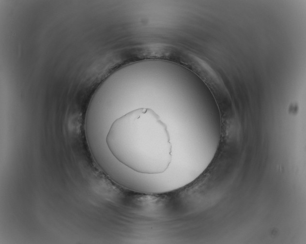 X0000090920326200708201811