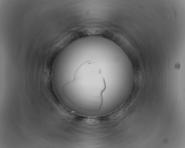 X0000090920327200708201811